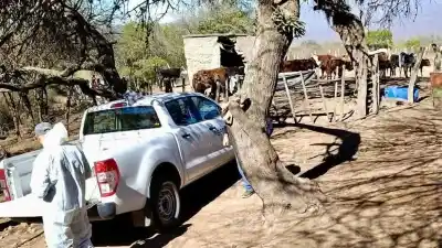 Un caso de rabia bovina en Ambato pone en alerta a más de 300 productores