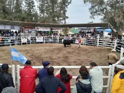 Huinca Renancó: arranca la Expo Agropecuaria y esto es lo que trae