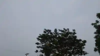 Alerta en Misiones: las tormentas fuertes que llegan este miércoles y el detalle que preocupa