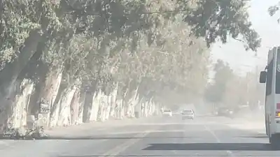 El viento que vuelve a San Juan: cuáles son las zonas bajo alerta