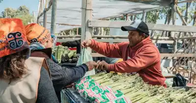 Médano de Oro se prepara para la fiesta que pone en el centro al espárrago y al alcaucil
