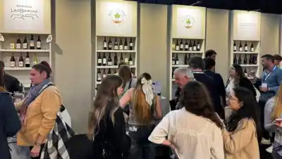Las bodegas rionegrinas buscan conquistar el mercado hotelero con más de 20 etiquetas