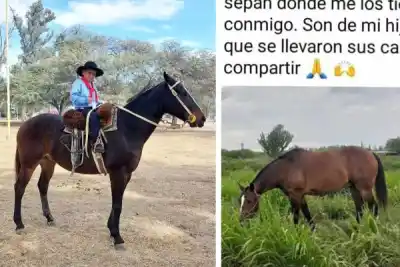 Le robaron los caballos a su hijo y el nene no para de llorar: buscan al que falta