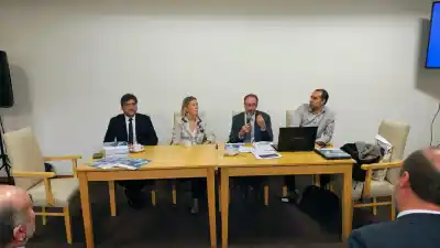 El plan de la CEPAL que puede cambiar el futuro productivo de San Luis