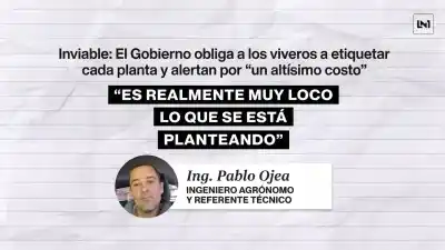 Exigen etiquetar cada planta con un código QR y los viveristas bonaerenses explotan: "Es inaplicable"