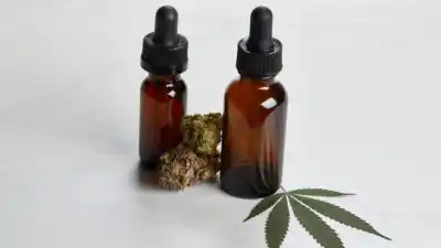 Misiones relanza su producción de aceite de cannabis: ¿qué rol juega Buenos Aires?