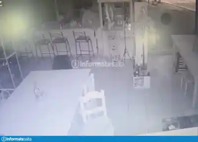 Entraron a un local a robar y el botín no fue lo único que encontraron