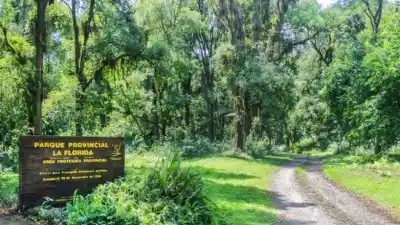 El pionero ambiental de Tucumán que cumple 90 años y pocos conocen