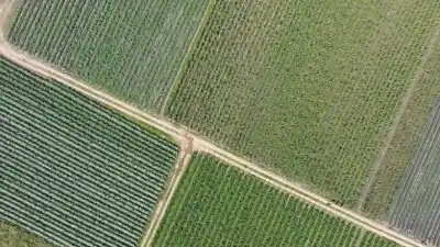 El plan con drones que une a la UNT y al Gobierno para mapear Lules