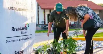 Cambian botellas y cartones por árboles: el plan de Rivadavia para el Día del Árbol