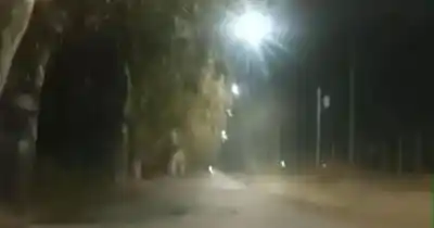 Quiso frenar a una motociclista tirándole palos: el insólito episodio en Caucete