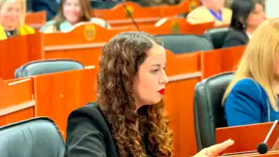 El crudo diagnóstico de una diputada sobre por qué la gente se endeuda para pagar la luz