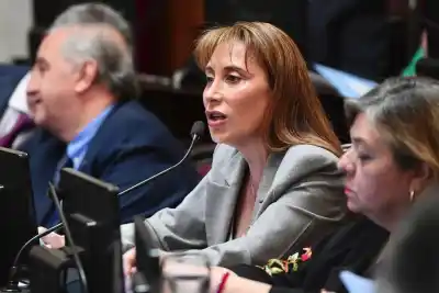 La Justicia archivó la causa de Cristina López por el despacho en el Senado: qué dijo la Cámara