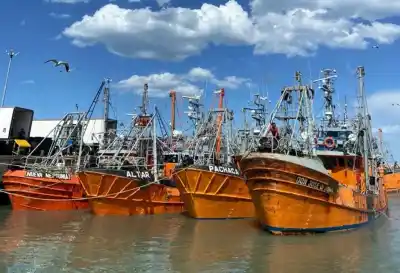 El dato que ubica a Chubut al tope de la pesca y el reclamo que nadie mira