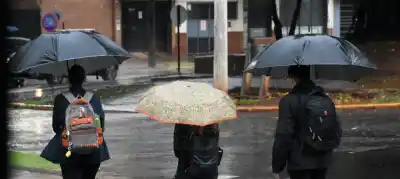 Alerta amarilla en Misiones: qué zonas se llevan la peor parte de las tormentas