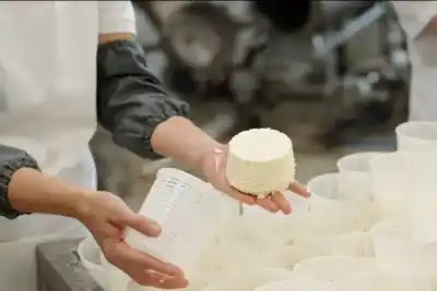 Créditos de $5 millones a tasa 0% para emprendedores alimenticios