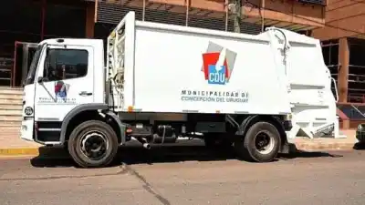 Un perro murió atropellado por un camión recolector y piden desesperadamente dar con el conductor