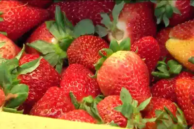 La frutilla bajó de $7.000 a $4.500 el kilo y las ventas se dispararon en Paraná