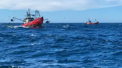 Por primera vez en la historia, Chubut desbanca a Buenos Aires en la pesca: el dato que sorprende