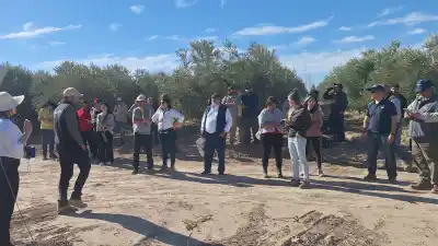 El INTA San Juan reunió a más de 300 personas en una jornada que mostró el futuro del olivo