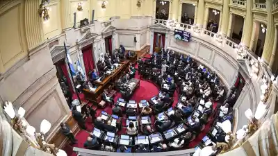 Sin respaldo para Biocombustibles: el oficialismo se quedó sin sesión en el Senado