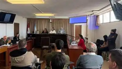 La condena que recibió la mujer que atacó a su expareja en Ticino