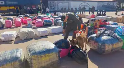 Cuatro colectivos desde Salta cayeron en Córdoba: el hallazgo que dejó a todos sin palabras