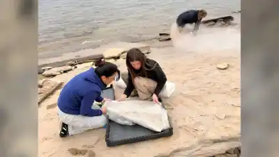 Un nene encontró algo increíble en la costa del Mari Menuco y la ciencia quedó en shock