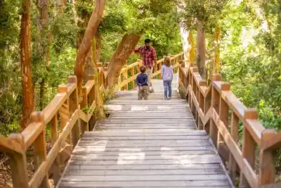Villa La Angostura: 350 bailarines y dos jornadas para celebrar el folklore