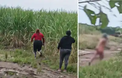 Un hombre desnudo y con el rostro cubierto aterroriza a vecinos en un cañaveral de Santa Ana