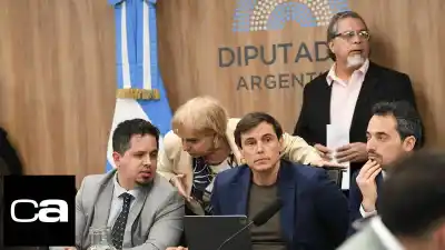 El diputado que critica los subsidios al deporte pero fue becado en el CeNARD