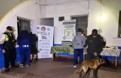 Controles en la frontera: El hallazgo que no esperaban los efectivos de Caballería y Canes