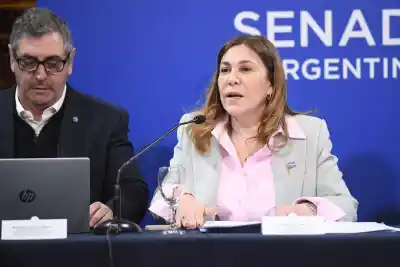 Tucumán: la senadora que fue a pedir respuestas por las rutas y lo que pasó adentro del Senado