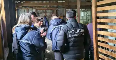 Control en estancias de Santa Cruz: verificaron a 27 esquiladores y una comparsa quedó pendiente