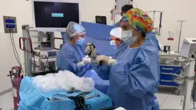 Médica santiagueña logra un hito quirúrgico con bebés recién nacidos: así fue el procedimiento