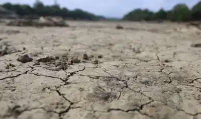 La sequía golpea la costa del río Colorado: el monto por vaca que ahora pagará el Banco de La Pampa