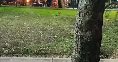 Reclaman por el carrusel de La Alameda: "Está casi en tinieblas"