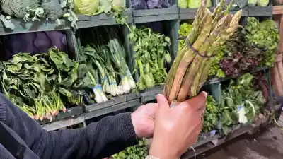 Producían 500 hectáreas de espárragos en San Juan: hoy la mitad de eso es un recuerdo