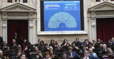 Un diputado santacruceño se desmarcó en Diputados: el único voto en contra de todo el recinto