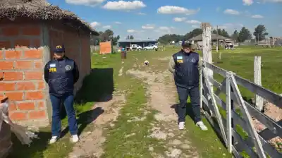 Secuestraron a una pareja y su beba de 3 años por una deuda: la trama que estremece a Brandsen