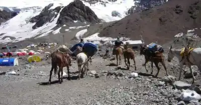 Quién prestará los servicios turísticos en el Aconcagua