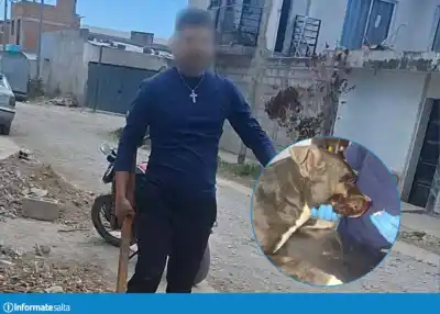 Un perro salió a ladrarle a la moto y lo que hizo el conductor desató bronca en San Lorenzo