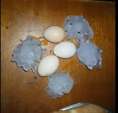 El granizo arrasó sus chacras en minutos: lo que encontraron los relevamientos