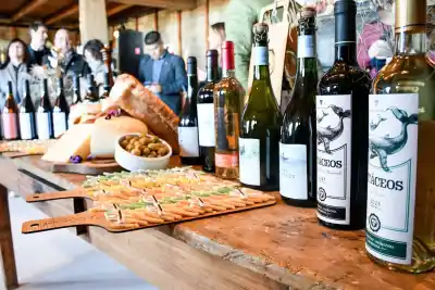 Chubut se prepara para recibir a los productores vitivinícolas: lo que se viene en Madryn