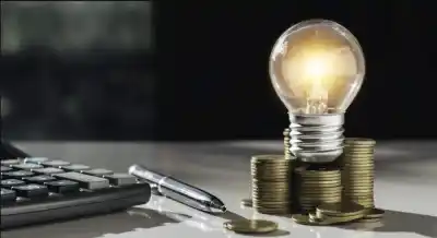 Luz verde para tres sectores: podrán pagar la energía con cheques hasta noviembre