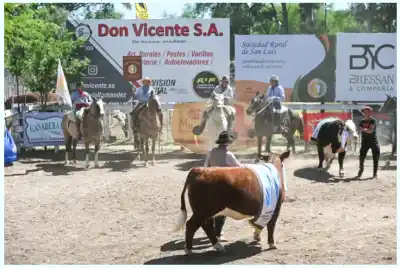 La Expo Rural de San Luis ya tiene fecha: cuatro días que mueven el campo y el bolsillo