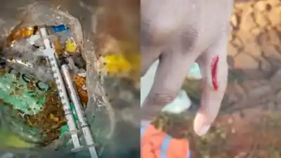 Tiraban la basura como siempre, pero entre las bolsas había algo que nadie esperaba