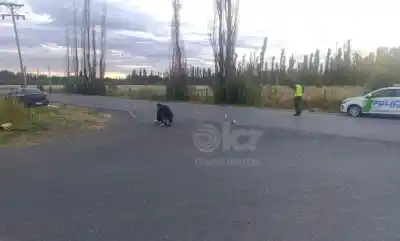 Un auto lo embistió por la espalda y mató al placero de Chichinales: seis meses después, la Justicia tomó una decisión
