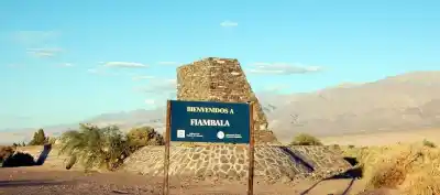 La helada arrasó los viñedos de Fiambalá: la cifra que preocupa a todos los productores