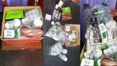 Una doctora perdió todo en plena peregrinación, pero un aviso inesperado le devolvió la calma